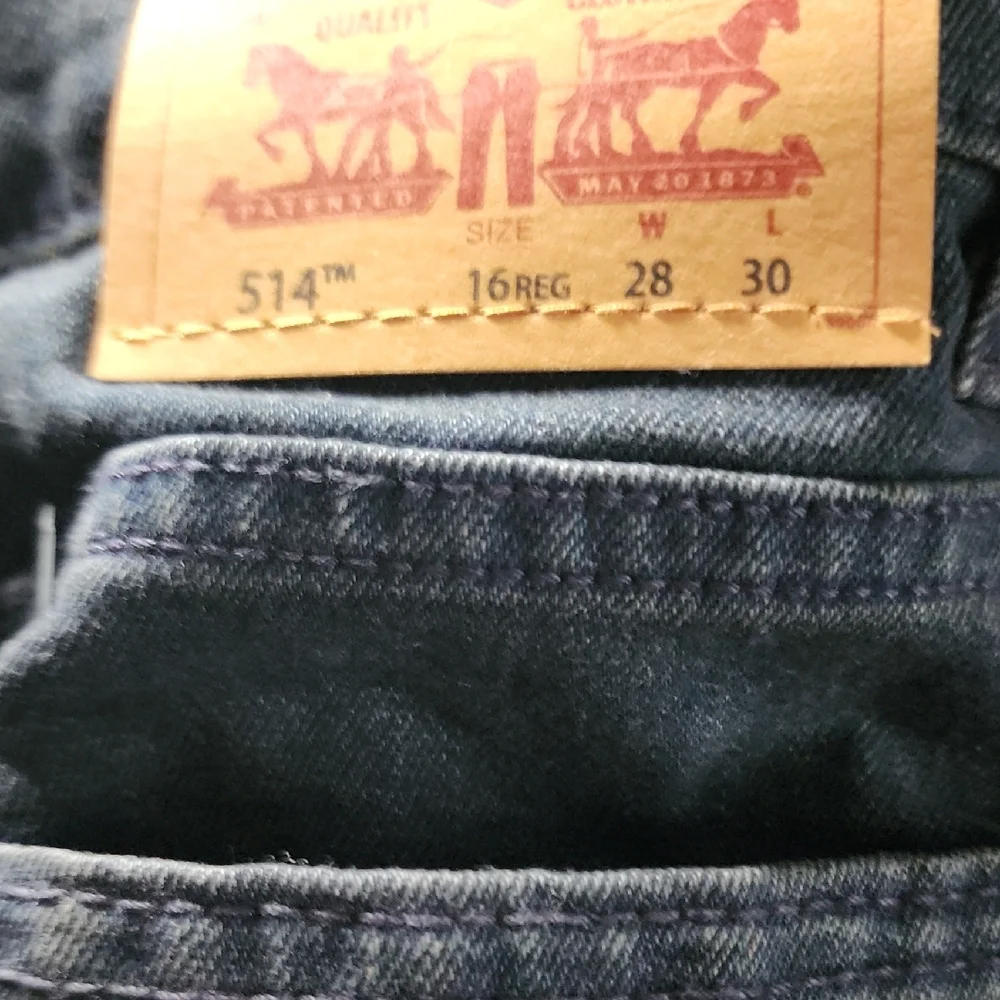 Levis stylish dark